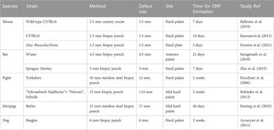 Current insights in the preclinical study of palatal wound healing and oronasal fistula after cleft palate repair